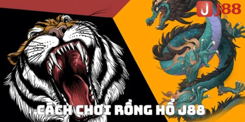 Rồng Hổ J88 - Game Casino Ăn Tiền Bạc Tỷ Vốn Nhỏ, Dễ Chơi 2 Hướng dẫn cách chơi rồng hổ J88 với nhiều cửa cược.